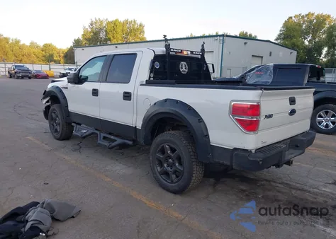 2009 Ford F150 Fx4/King Ranch/Lariat/Platinum/Xl/Xlt z USA, uszkodzony, nr VIN 1FTPW14V09FB36485